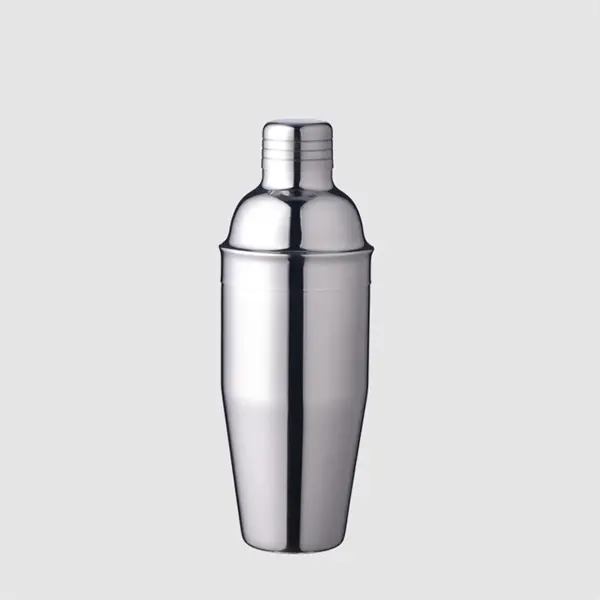 Stainless Steel Cocktail Shaker Set