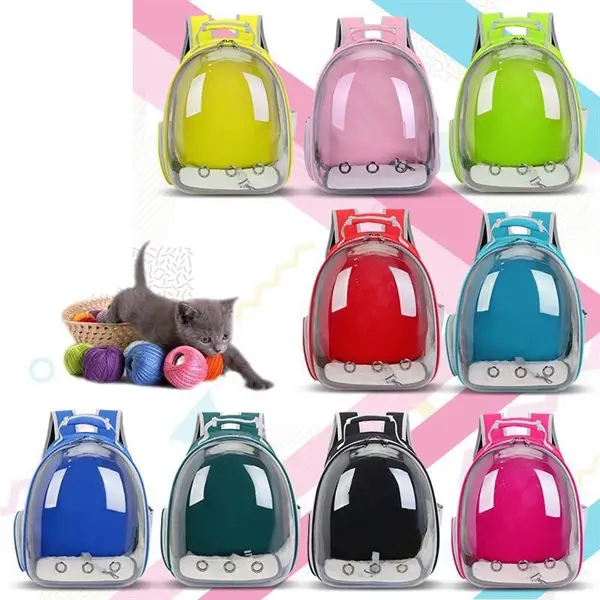 Transparent Cat Backpack