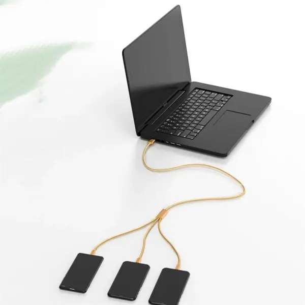 3 in 1 Charger Cable USB & Type C