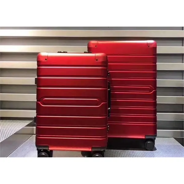 20" Traveling Storage Suitcase