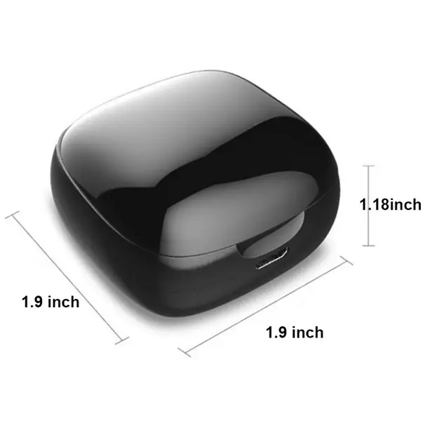Mini True Wireless Stereo Earbud Headphones w/Charging Case