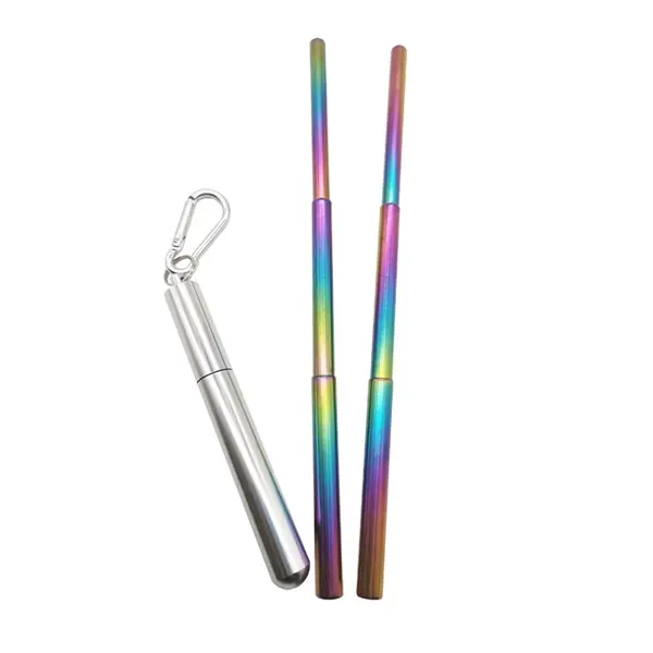 Collapsible Stainless Steel Straw Kit