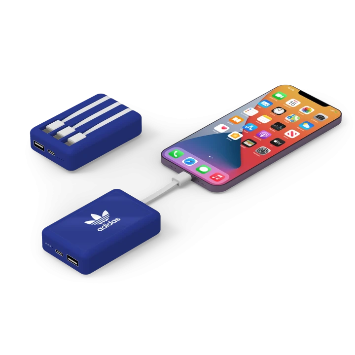 TriCord Power Bank