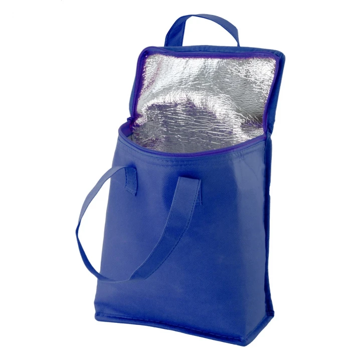 Fridrate Cooler Bag