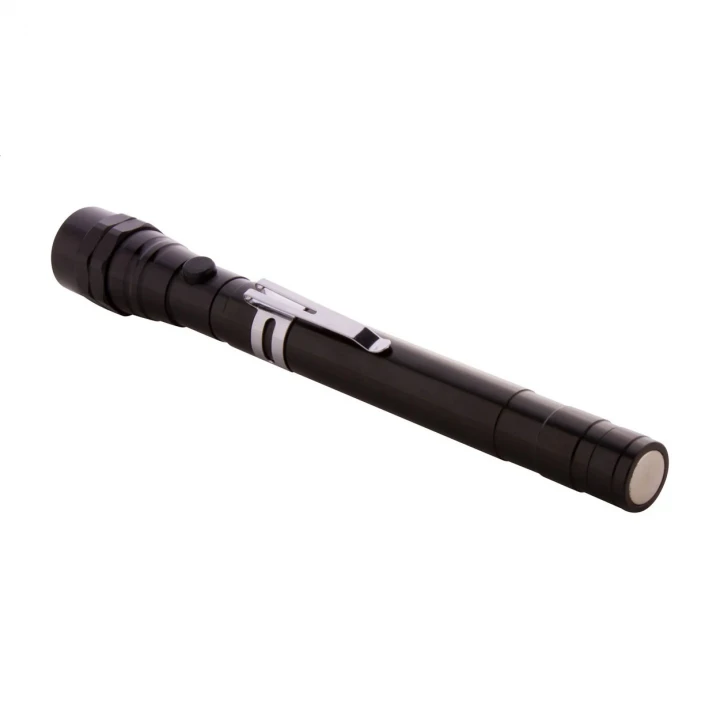Giraffe Extendable Torch