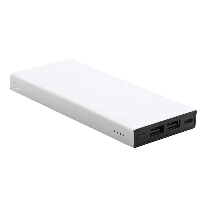 RaluTen Power Bank