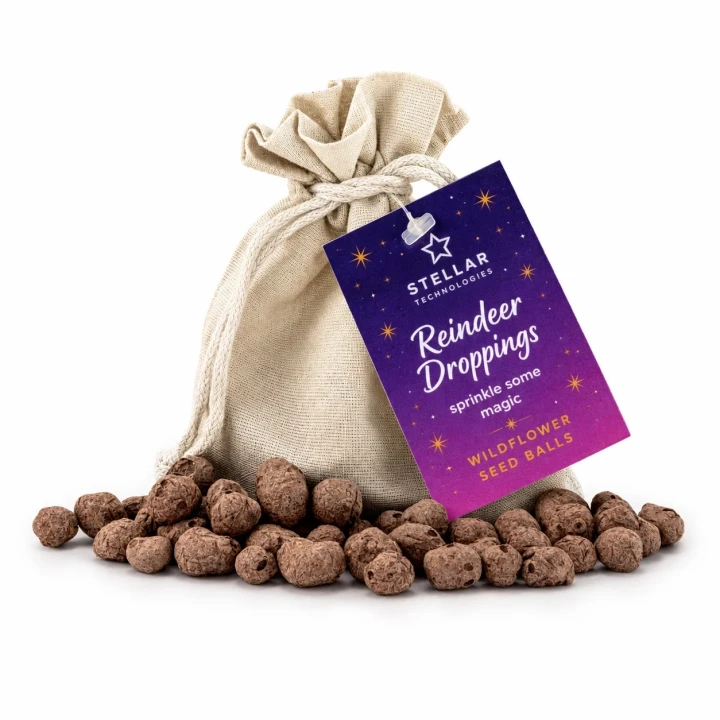Santa Sack of Reindeer Droppings