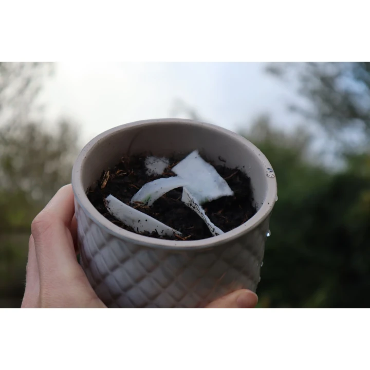 Seed Paper Coaster 93mm