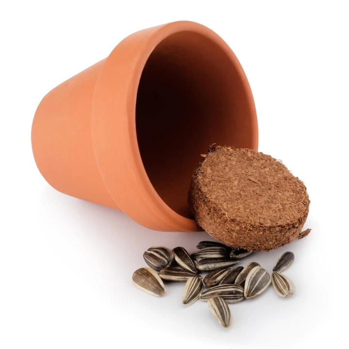 Terracotta Grow Kit