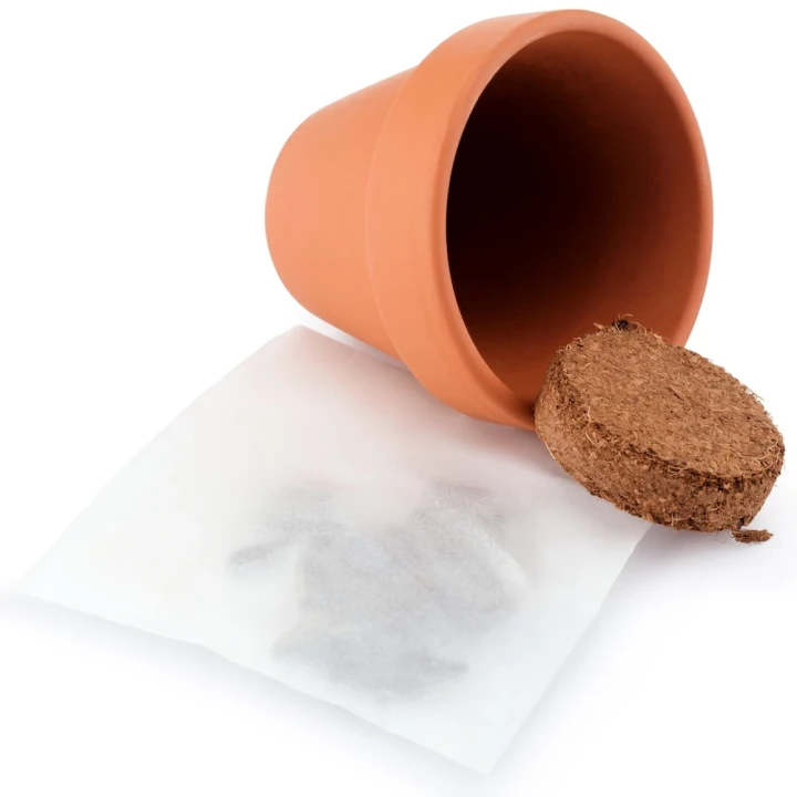 Terracotta Grow Kit