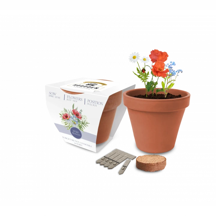 Super Express Essentials Clay Pot Gardens 