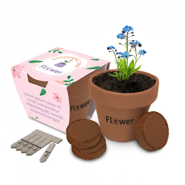 Large Clay Pot Gardens