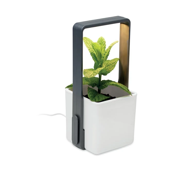 Indoor Garden With LED Light