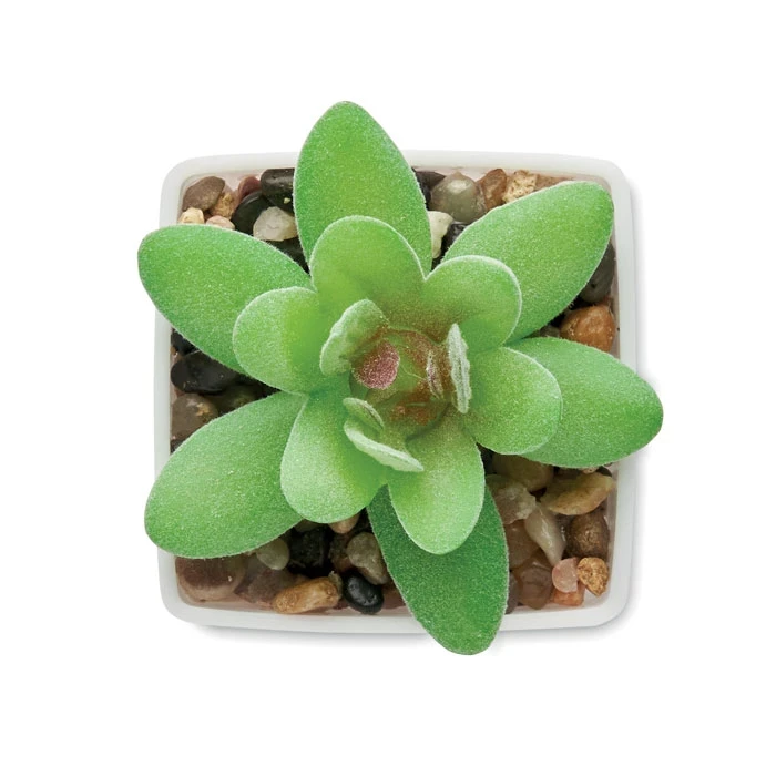 Mini Artificial Graptopetalum Paraguayense Plant
