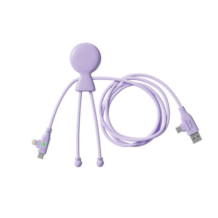 Mr Bio Long Fast 60W Multi Charging Cable