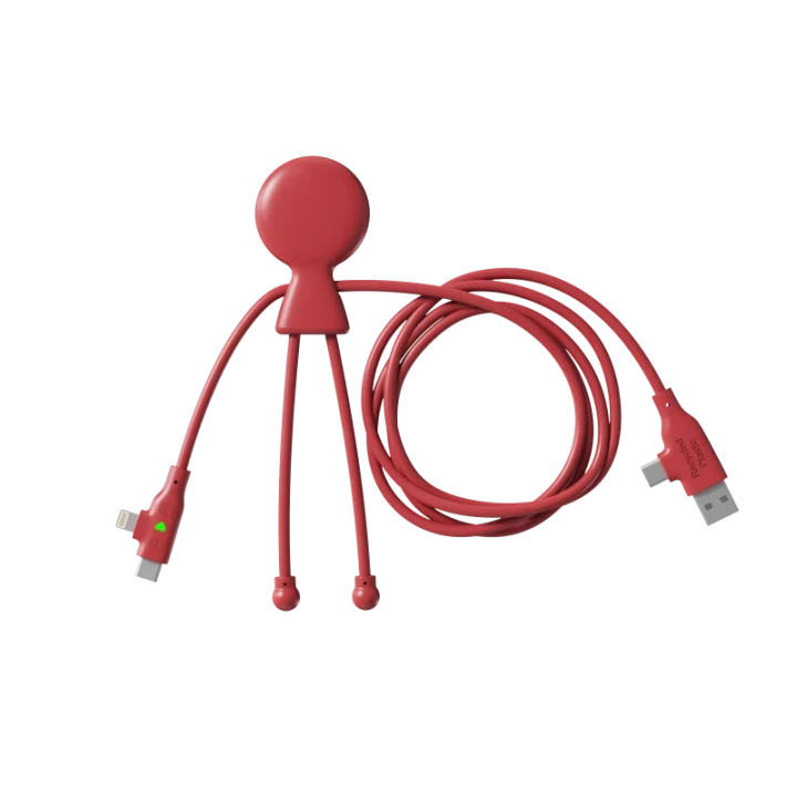 Mr Bio Long Fast 60W Multi Charging Cable