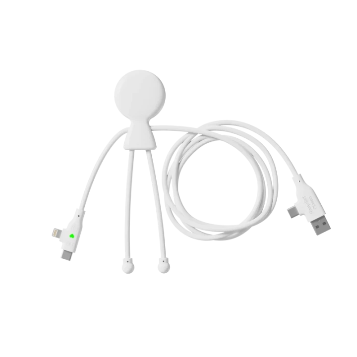 Mr Bio Long Fast 60W Multi Charging Cable