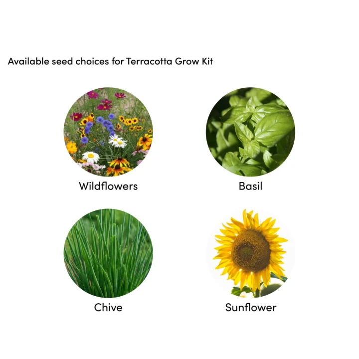 Terracotta Grow Kit