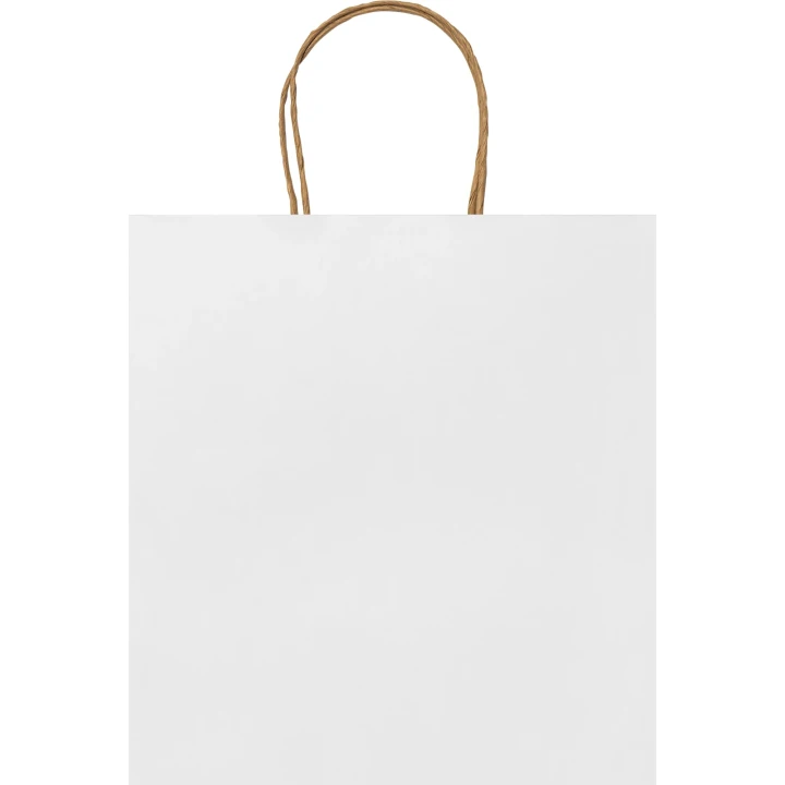 Paper bag (230 x 220 x 90mm)