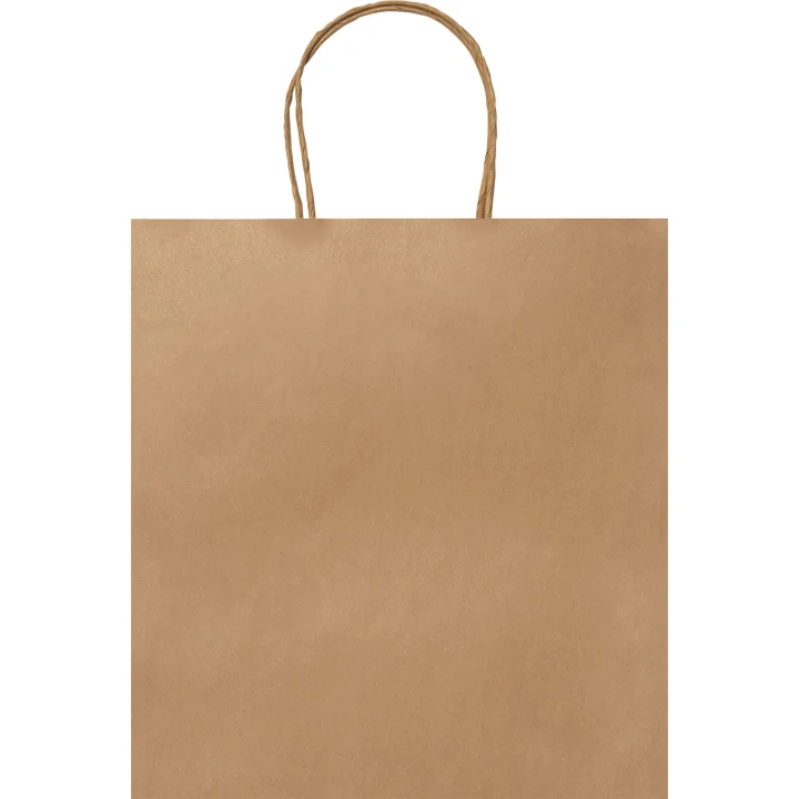 Paper bag (230 x 220 x 90mm)