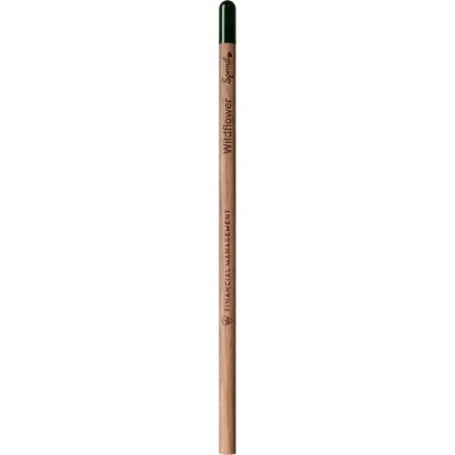Sproutworld unsharpened pencil
