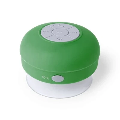 Speaker