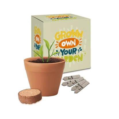 Boxed Pot Gardens