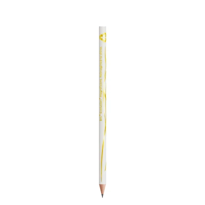BIC Evolution Magnificent Cut End Pencil