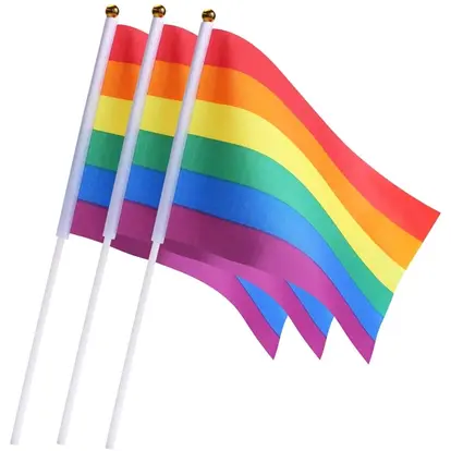 Mini Small Gay Pride Rainbow Handheld Stick Flags