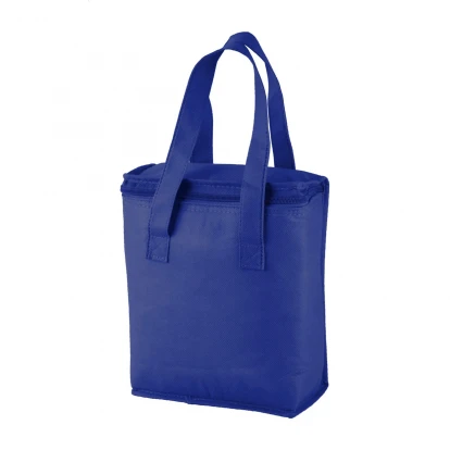 Fridrate Cooler Bag