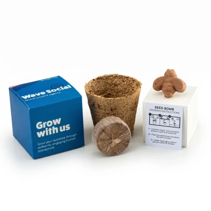 Bee Shaped Seed Bomb Kit (Fully Printed Box)