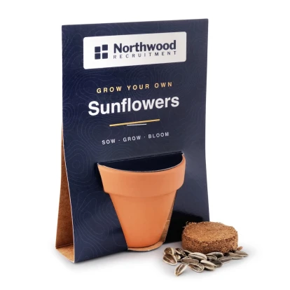 Terracotta Grow Kit