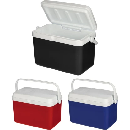 Sunkissed Cooler Box 4L