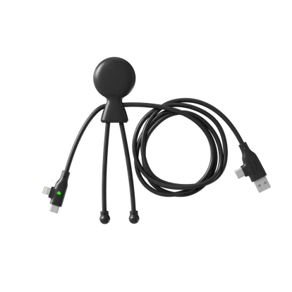 Mr Bio Long Fast 60W Multi Charging Cable