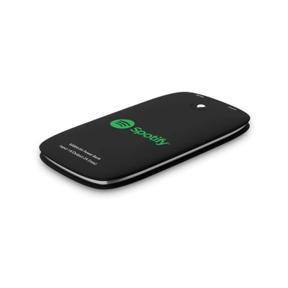 Gilt Power Bank