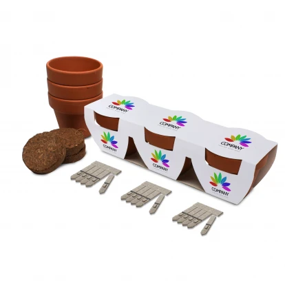 Trio Pot Gardens