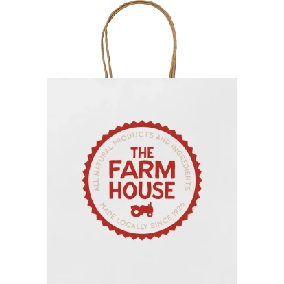 Paper bag (230 x 220 x 90mm)